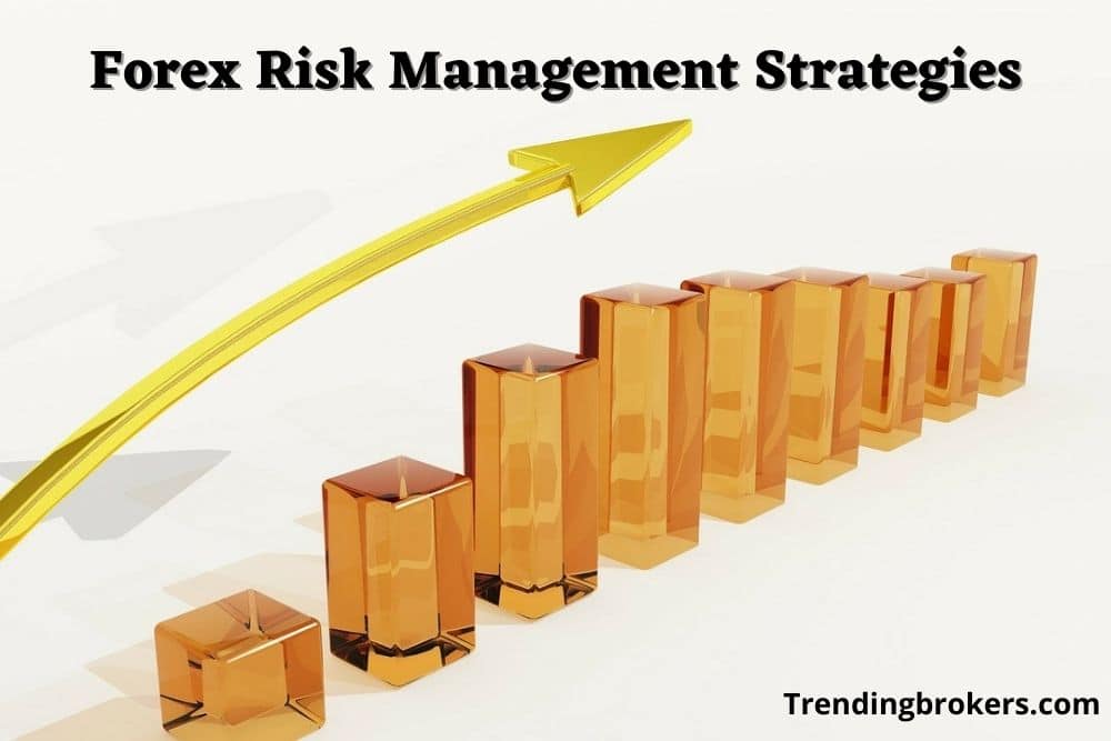 Forex risk management strategies